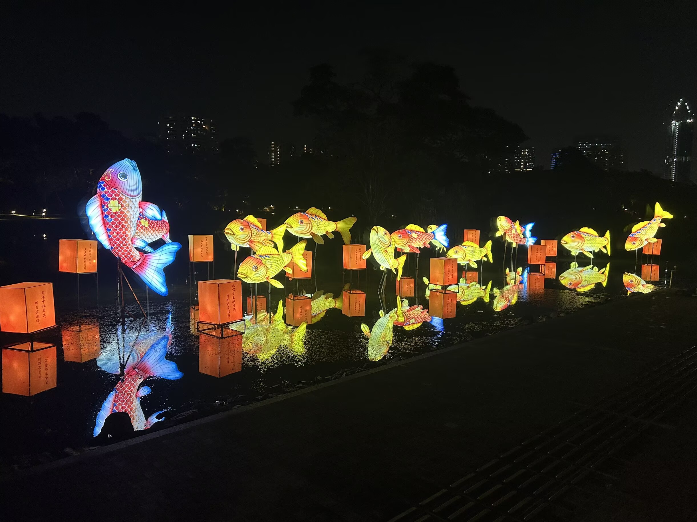 Colourful koi lanterns reflected on the lake at Singapore’s Lights by the Lake festival